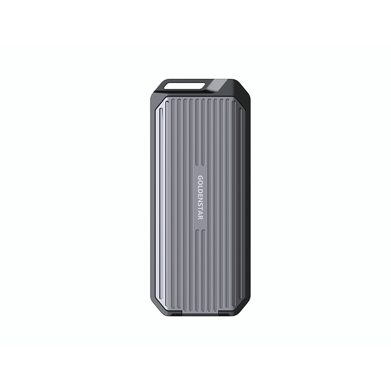GS-SSD01_40G